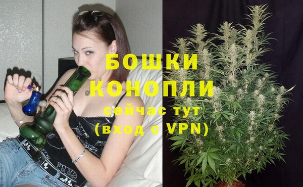 стафф Строитель