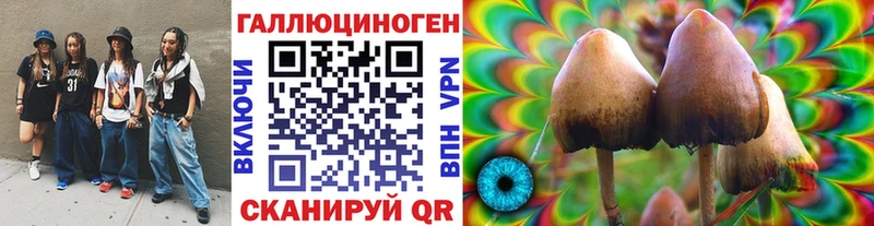 Галлюциногенные грибы мицелий  OMG   Куртамыш 